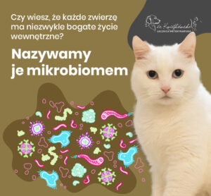 Czy wiesz, że każde zwierzę ma niezwykle bogate życie wewnętrzne? Nazywa się MIKROBIOM.